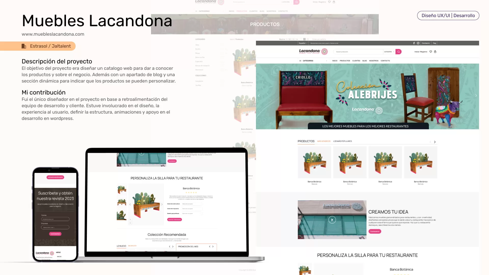 Diseño UXUI y Desarrollo Web portafolio